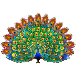 Read more about the article Wooden Jigsaw Puzzle-Beautiful Peacock 66e5dec6e9eb5