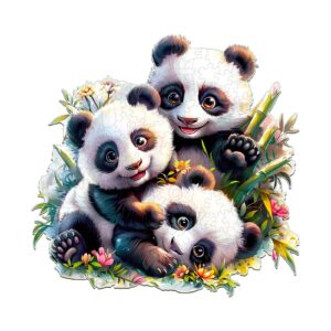 Read more about the article Wooden Jigsaw Puzzle – Panda Family 66e0263f308bd