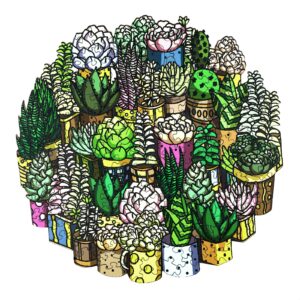 Read more about the article Wooden Jigsaw Puzzle-SUCCULENT PLANT 66e9d15b51ab7