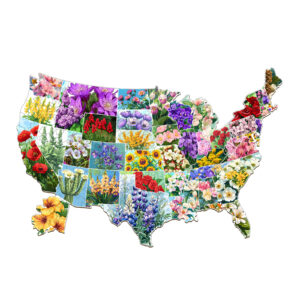 Read more about the article Wooden Jigsaw Puzzle-USA State Flowers 66ed1f09486af